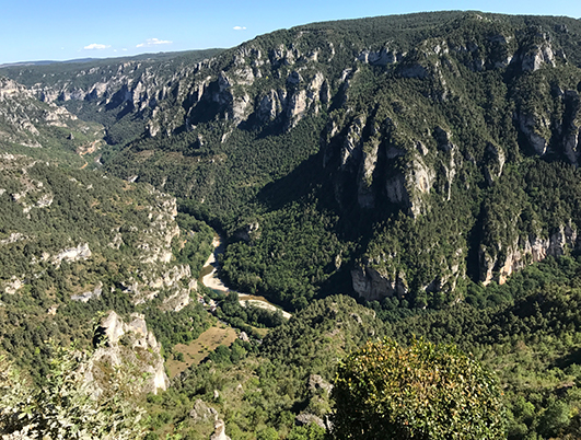 Les gorges du Tarn